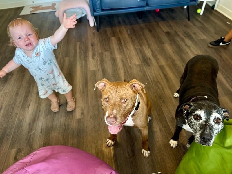 Blinky Baby loves the babies and belly rubs 5