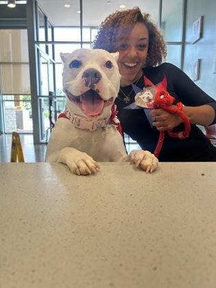 Enlarge Queenie, a Adoptable mixed breed in Fishers, IN image 3/3