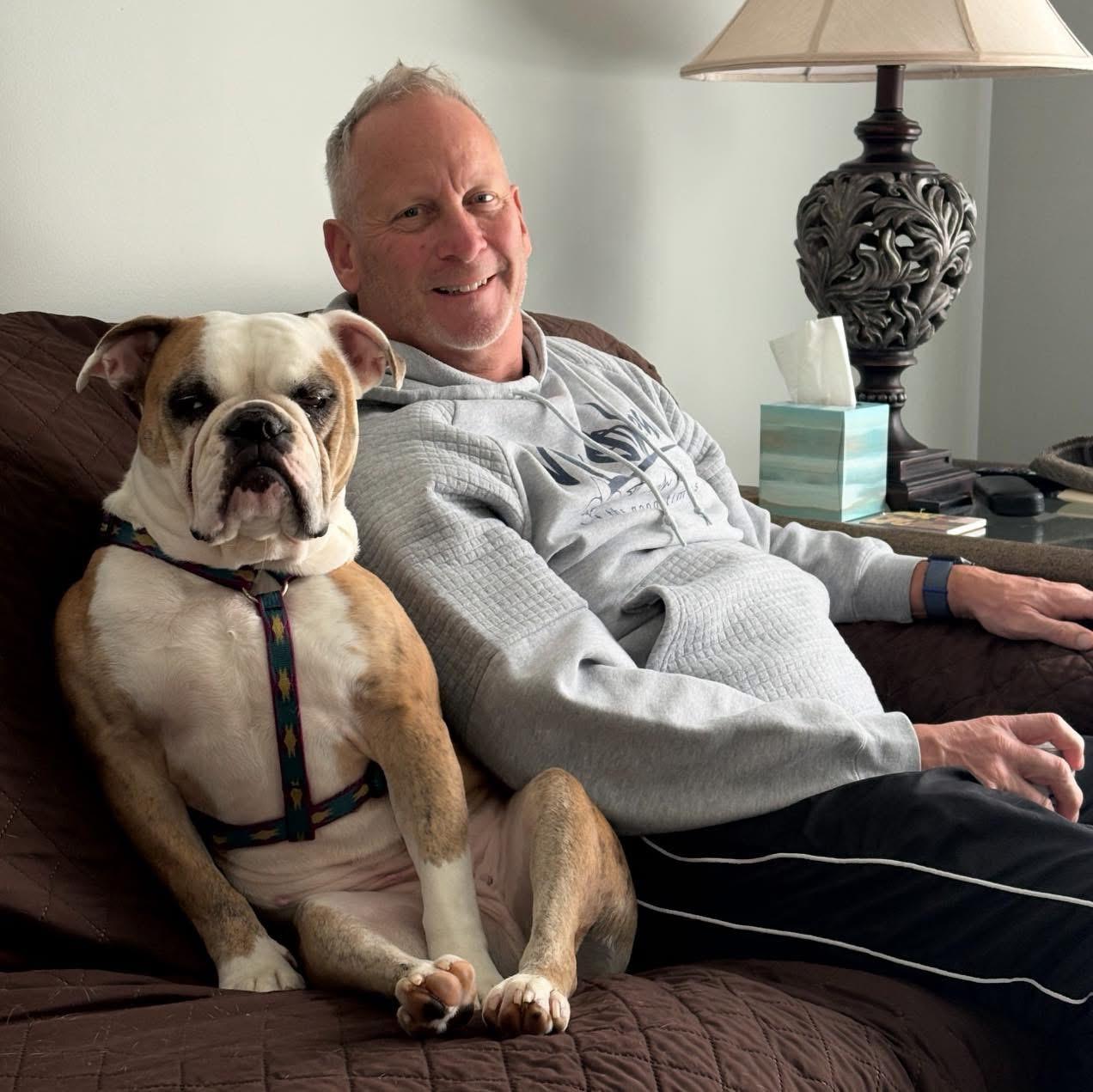Harley, a ADOPTABLE English Bulldog in Grand Haven, MI image 4/6