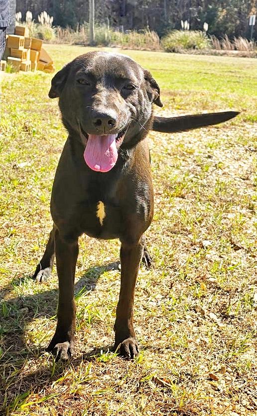 Sake — thumbnail 2