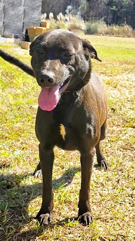 Sake — thumbnail 3