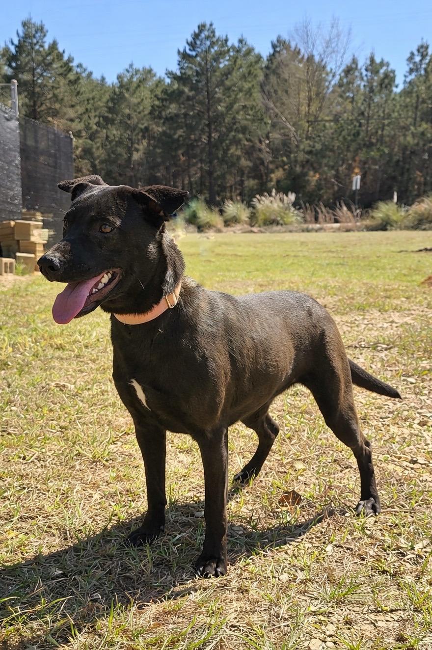 Sake — thumbnail 4