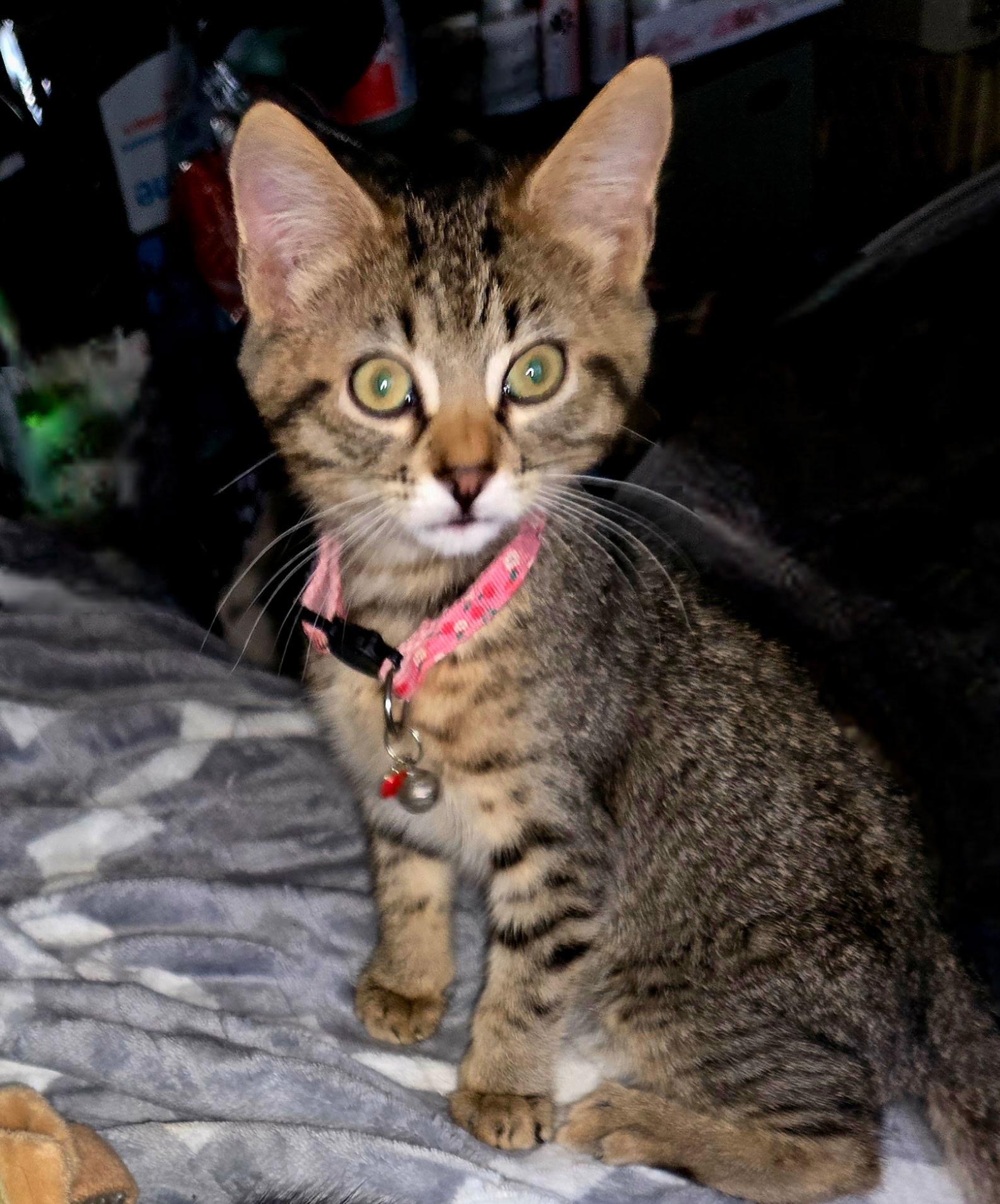 Molly