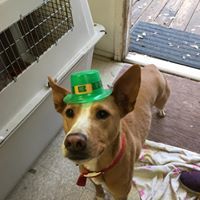 Truman photo 3