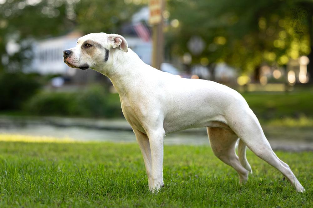 Maybelline thumbnail 5