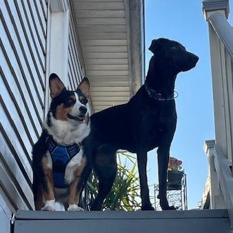 Tippi — thumbnail 5