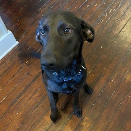 Tippi — thumbnail 6