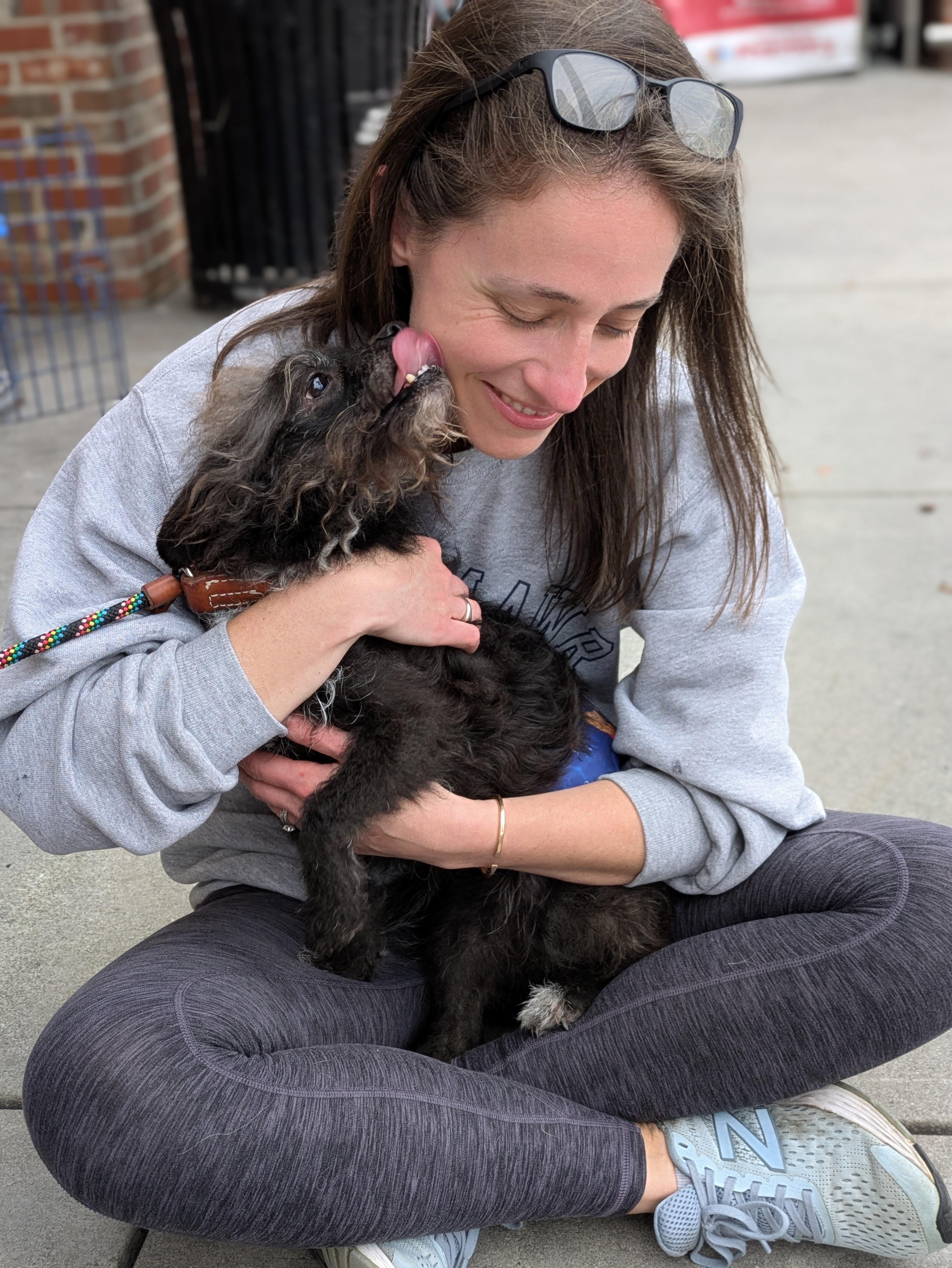 BuBu, an adoptable Terrier, Miniature Poodle in Ladson, SC, 29456 | Photo Image 3