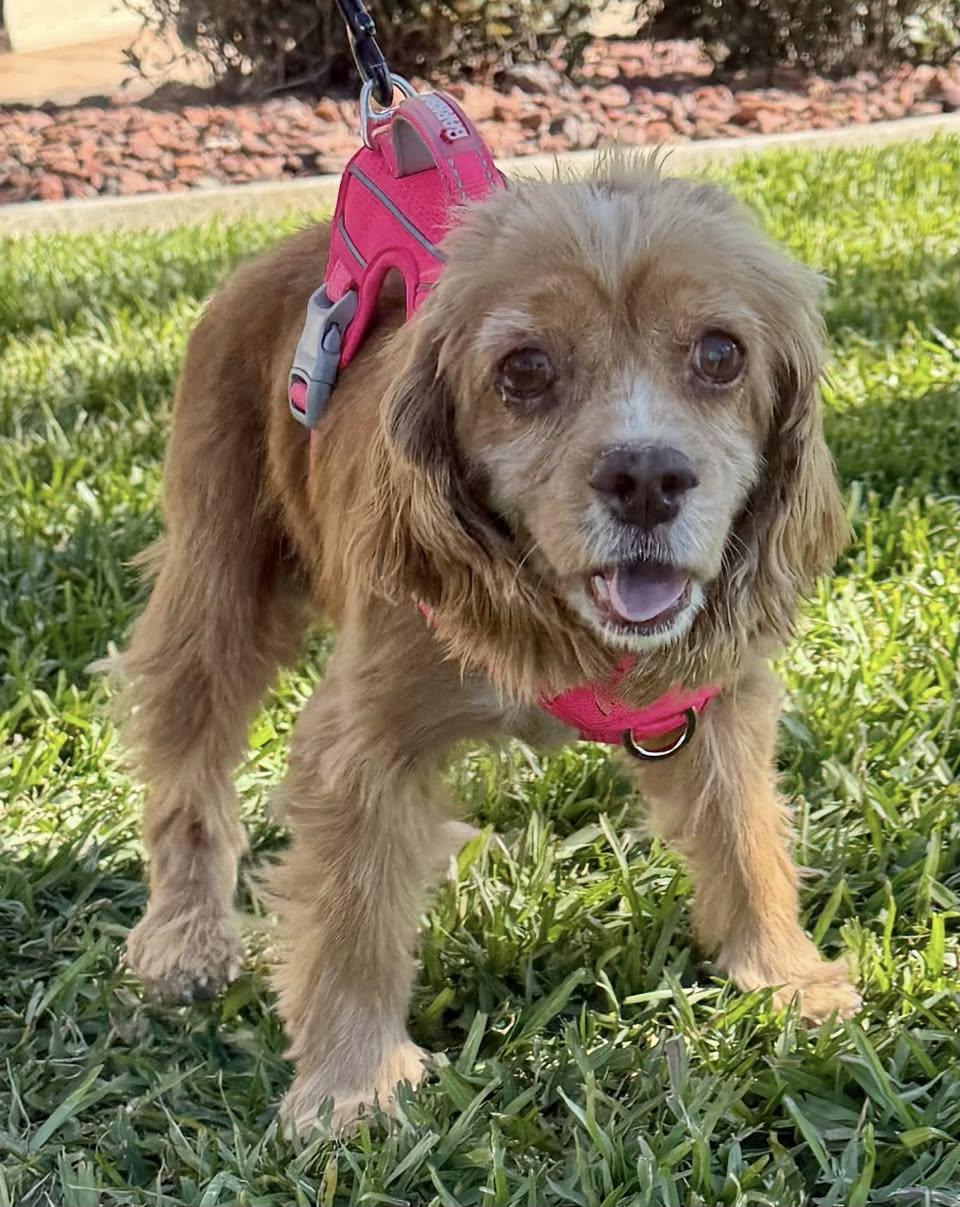 Holly — thumbnail 4