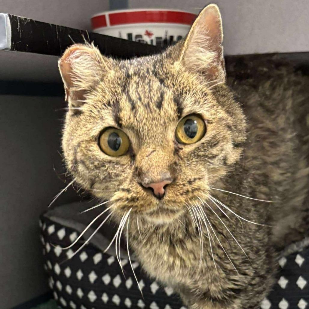 Thomas Jefferson — thumbnail 2