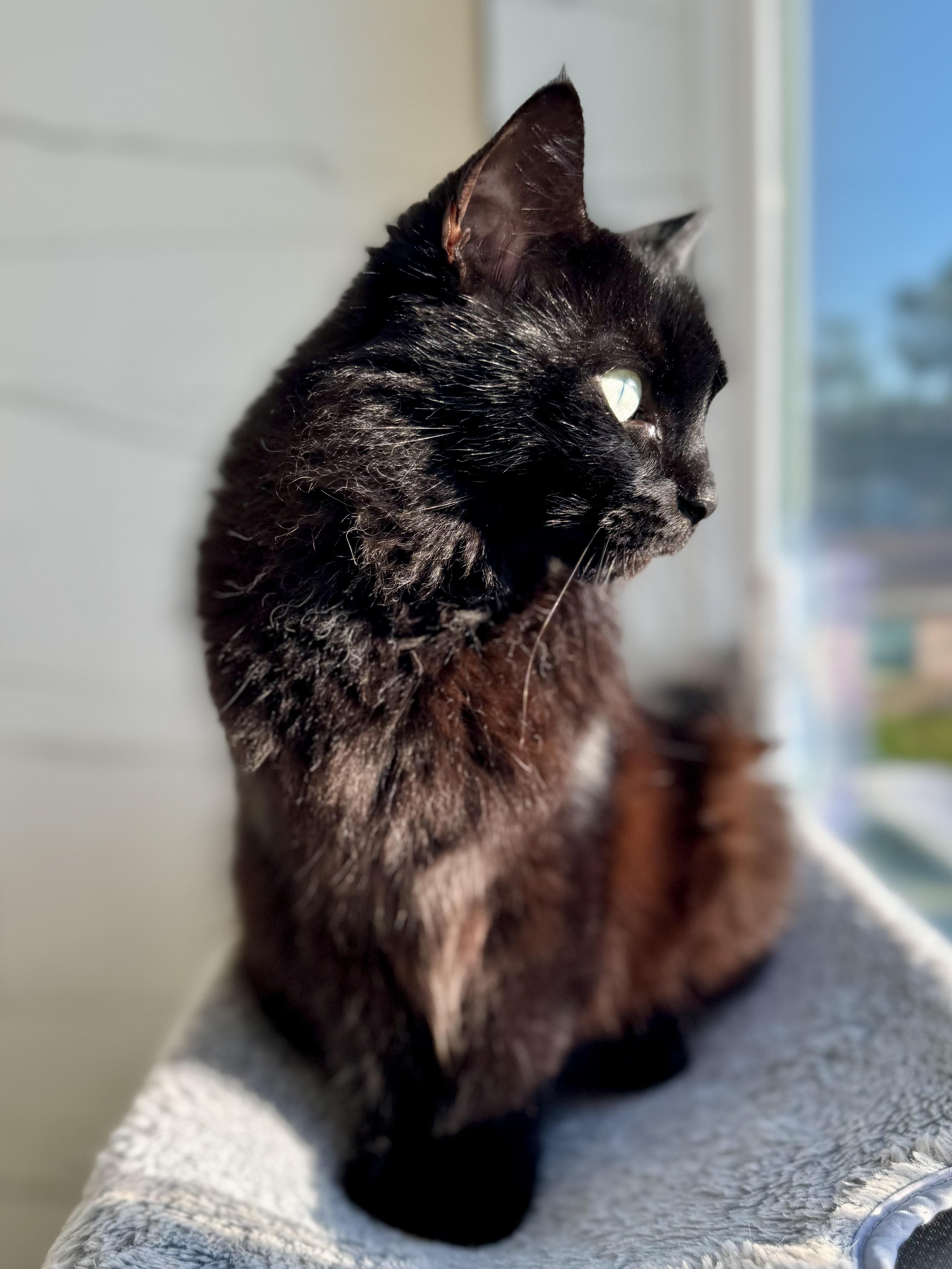 Jackie