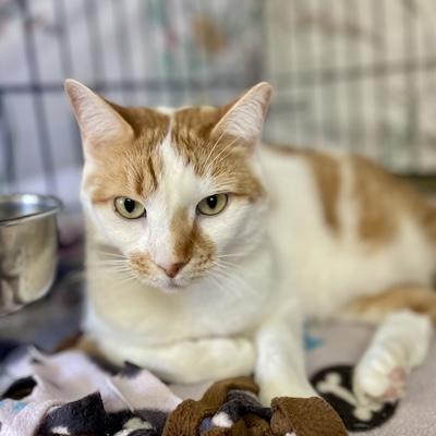 Charlotte — thumbnail 2