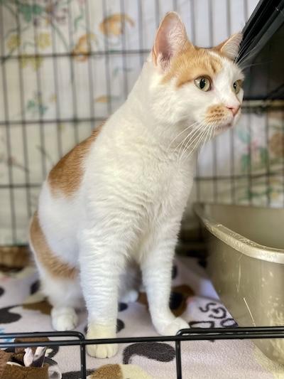 Charlotte — thumbnail 4