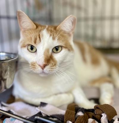 Charlotte — thumbnail 5