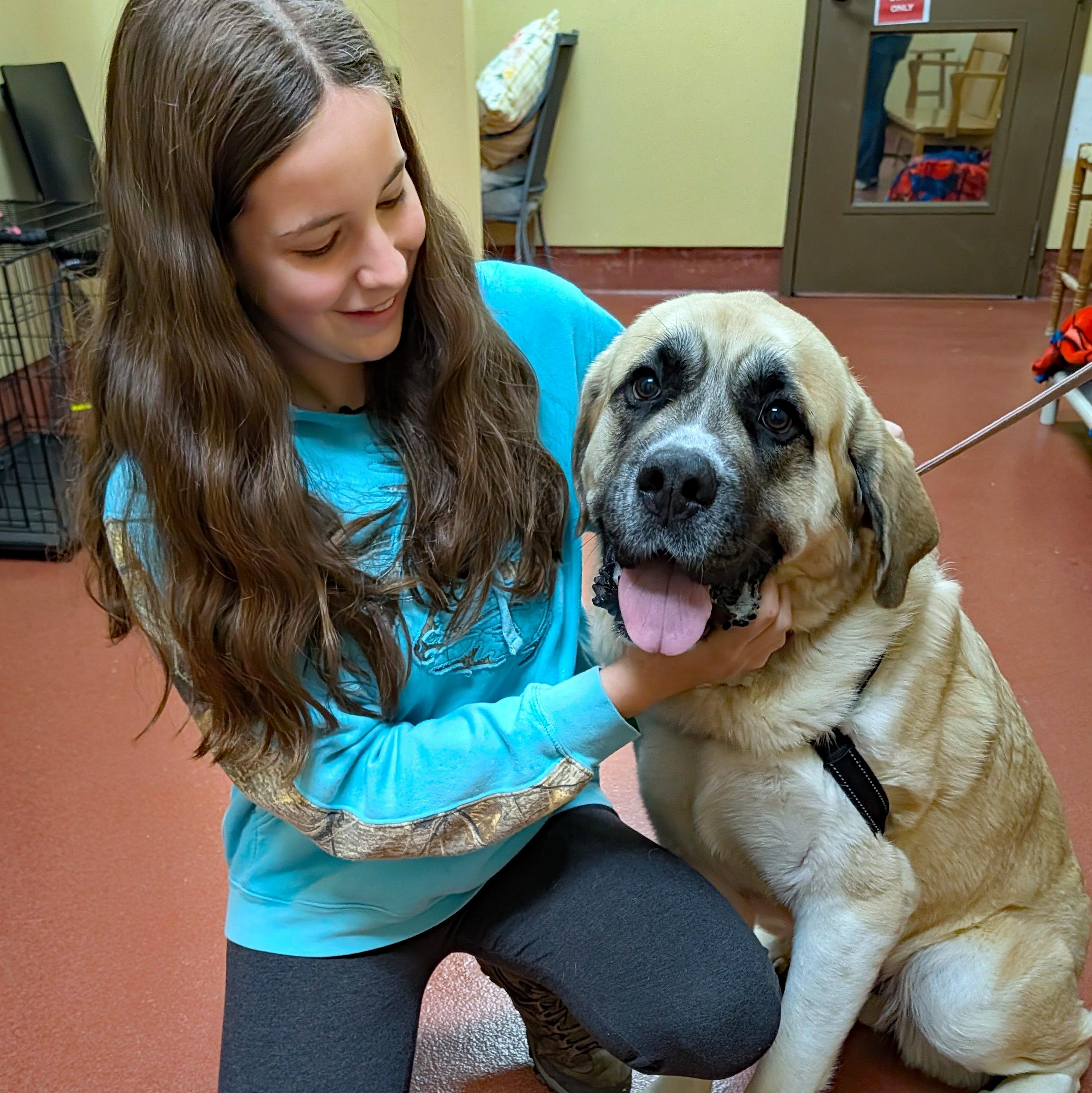 Enlarge Tonka, a ADOPTABLE mixed breed in Accident, MD image 4/6