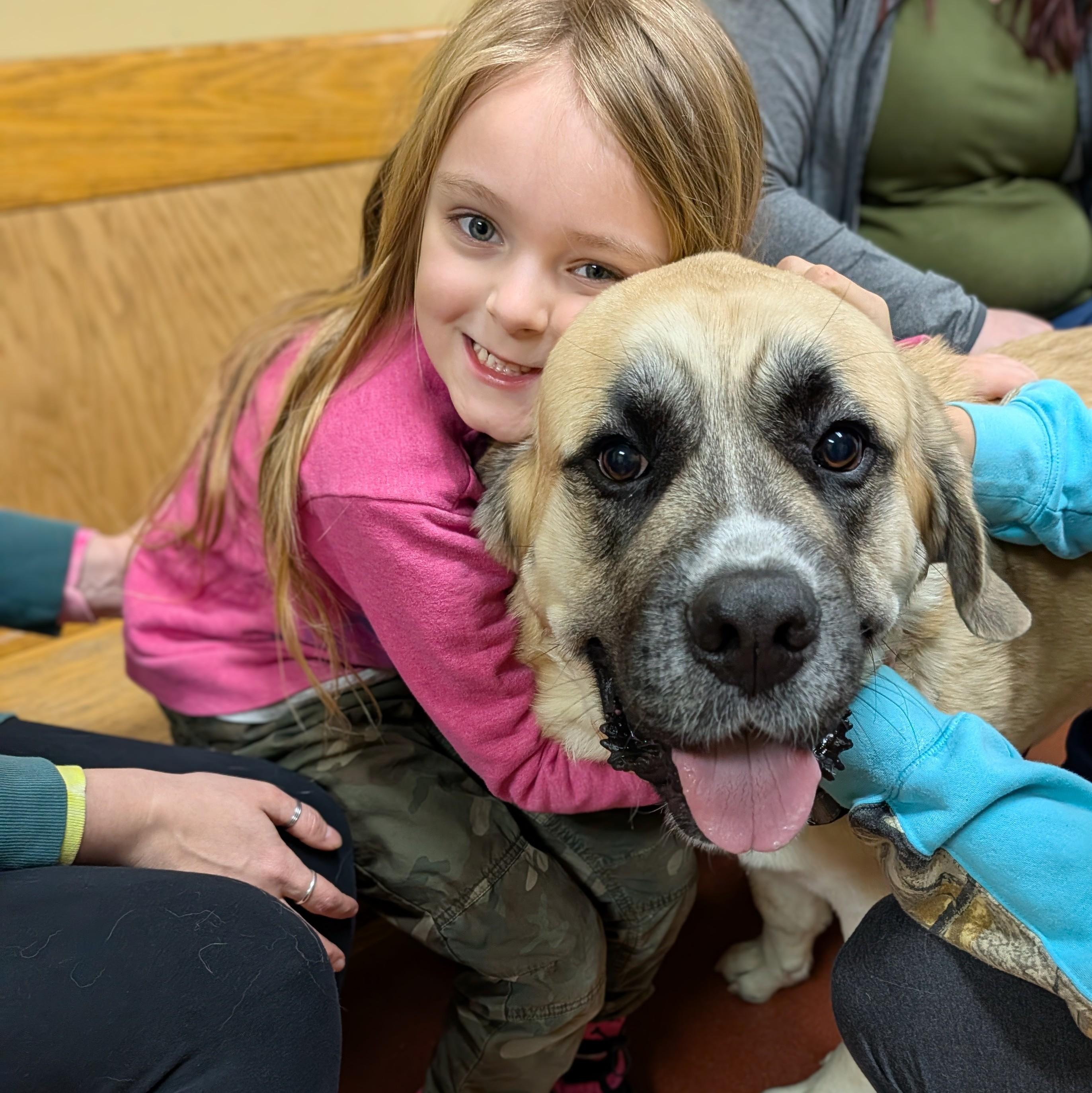 Enlarge Tonka, a ADOPTABLE mixed breed in Accident, MD image 1/6