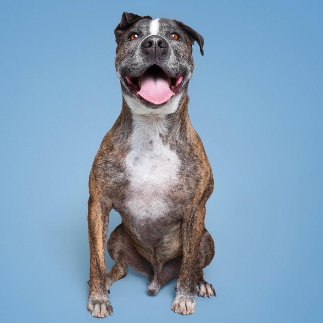 Tigger — thumbnail 3