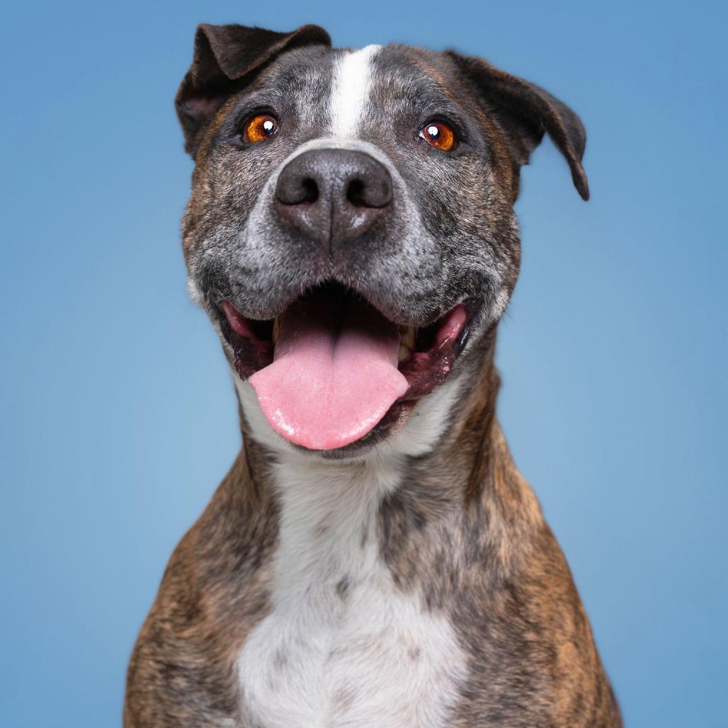 Tigger — thumbnail 6