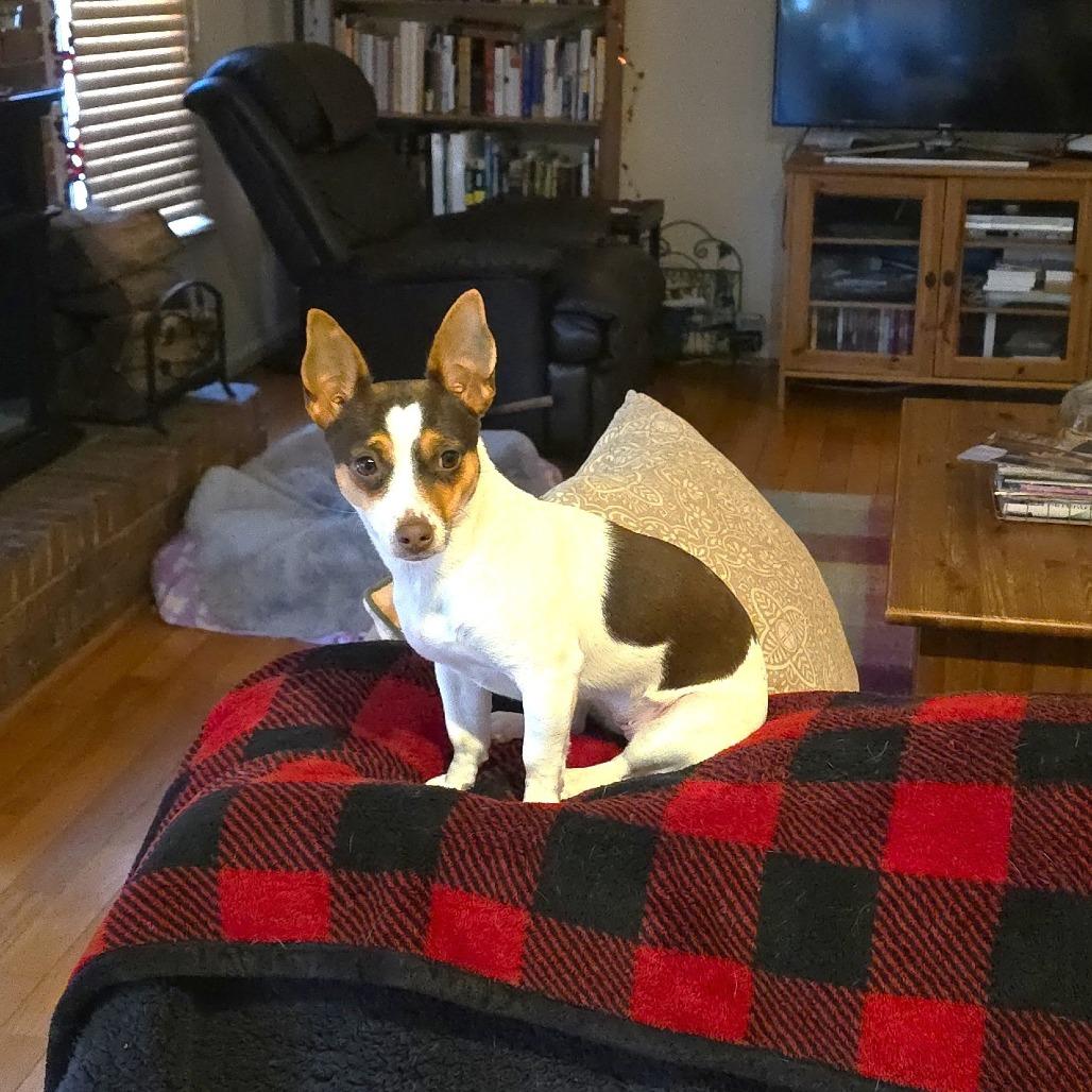 Frida — thumbnail 3