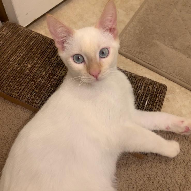 Cloud — thumbnail 2