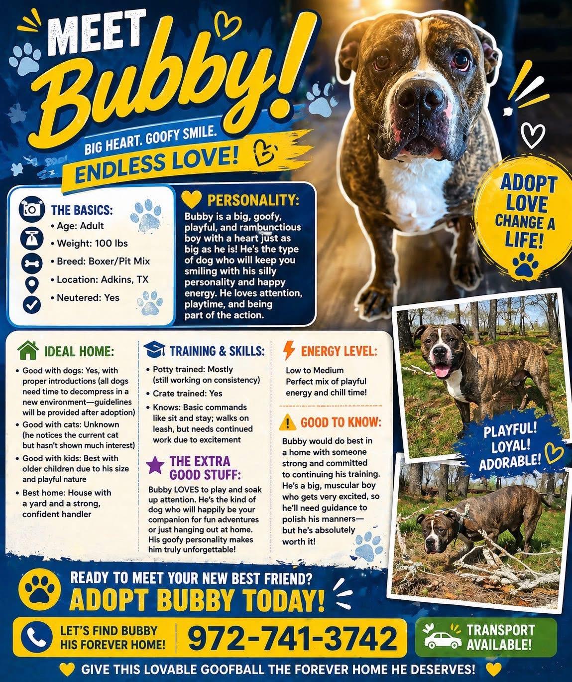 Bubby, a Adoptable mixed breed in San Antonio, TX image 2/2