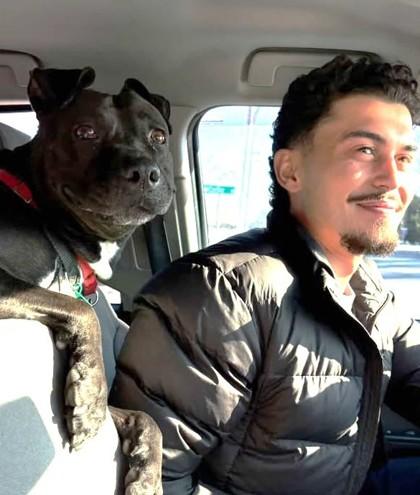 Enlarge Charm, a Adoptable Mixed Breed in West Chester, PA image 1/3