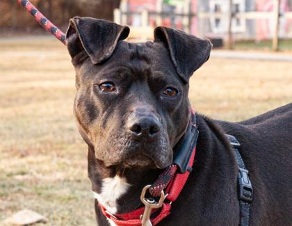 Charm — thumbnail 2