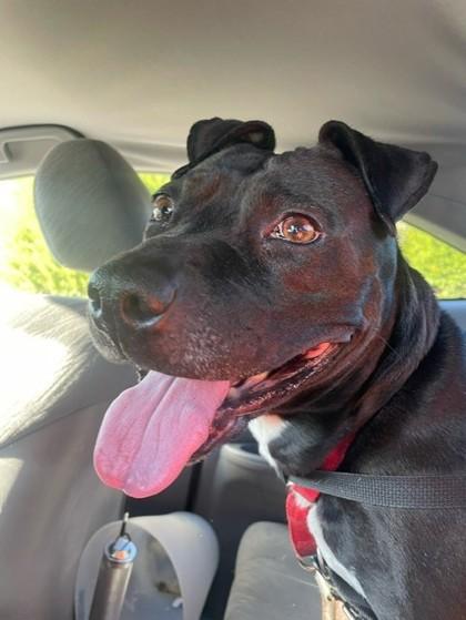 Charm — thumbnail 3