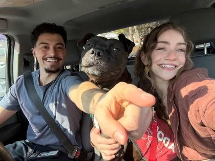 Enlarge Charm, a Adoptable Mixed Breed in West Chester, PA image 3/3