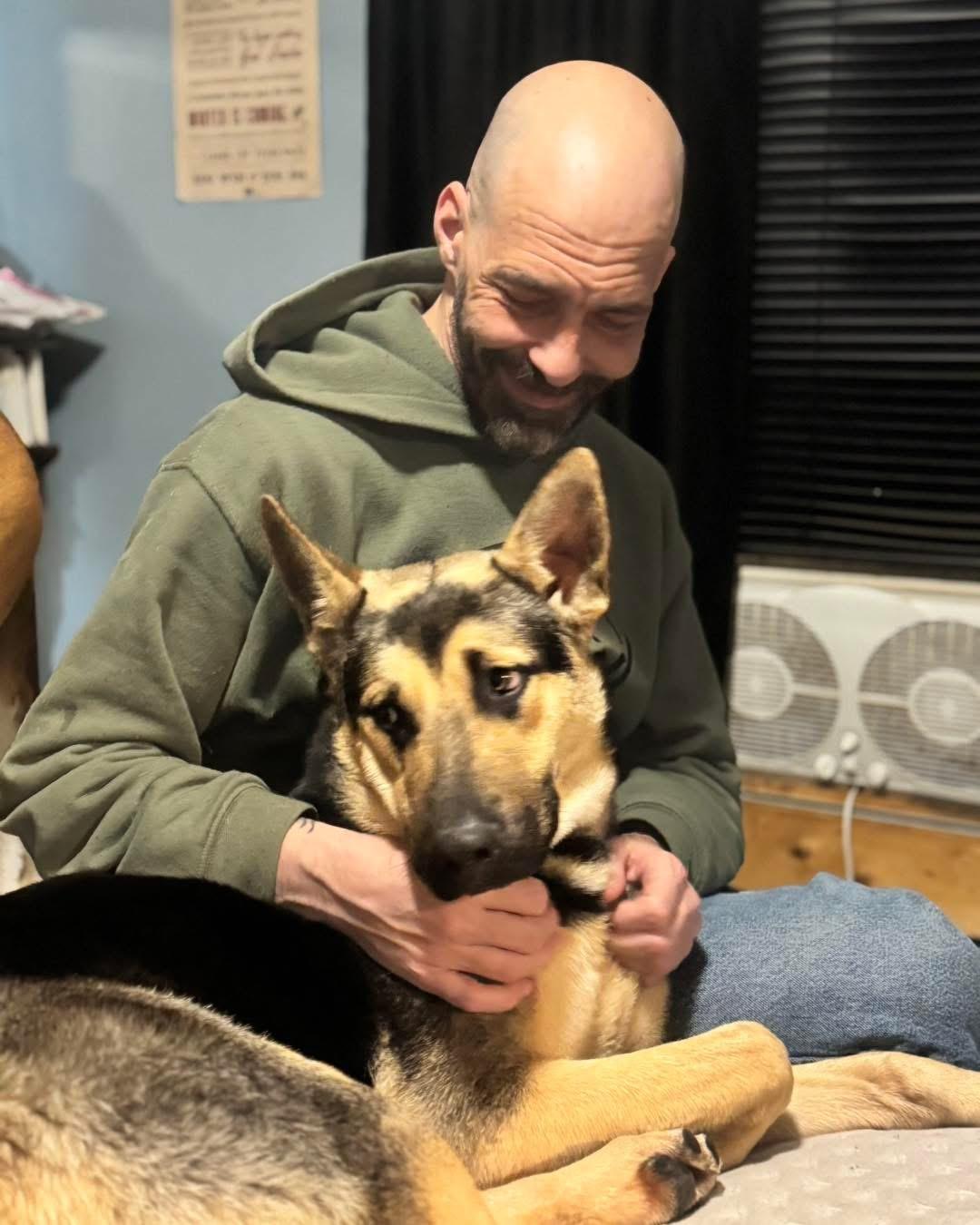 Rico, an adopted German Shepherd Dog in Highland, NY image 1/3
