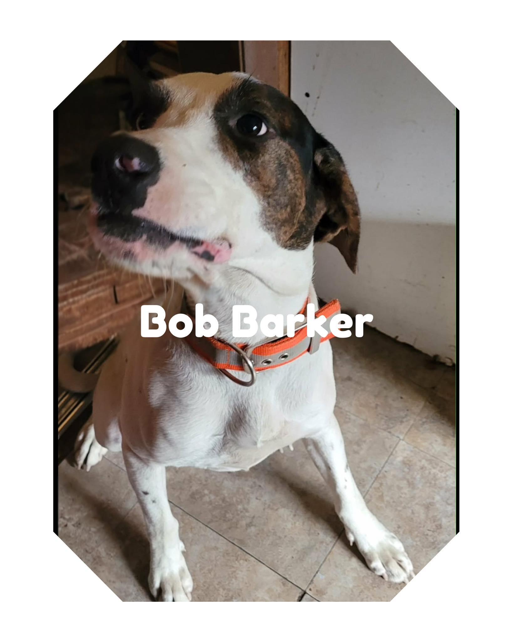 Bob Barker thumbnail 2