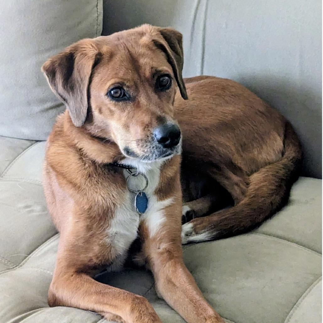 Millie *fully sponsored* photo