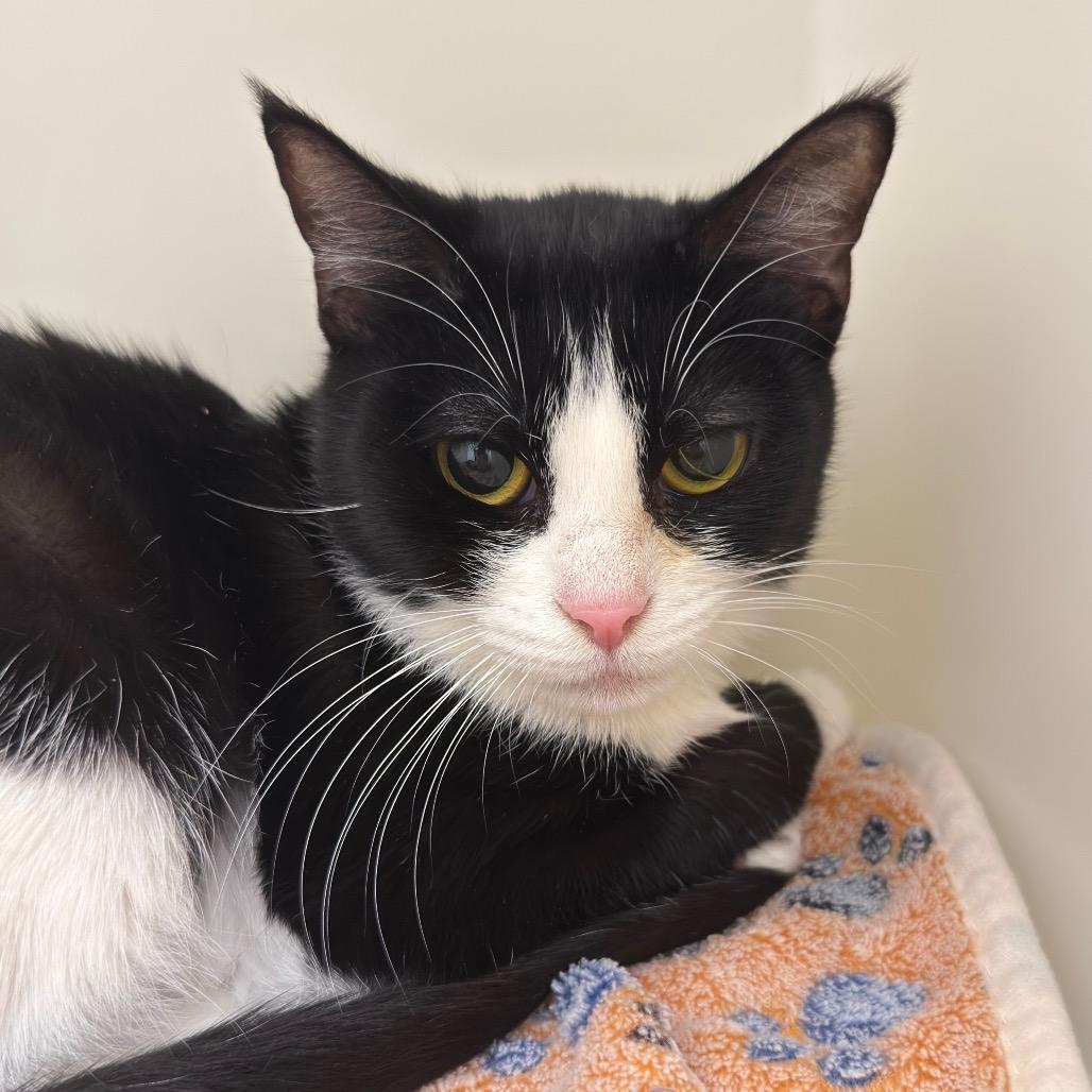 Harmony — thumbnail 2