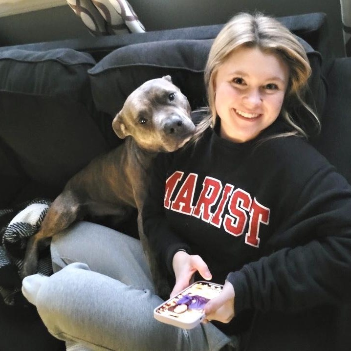 Frank, a Adoptable Pit Bull Terrier in Chicago, IL image 2/6