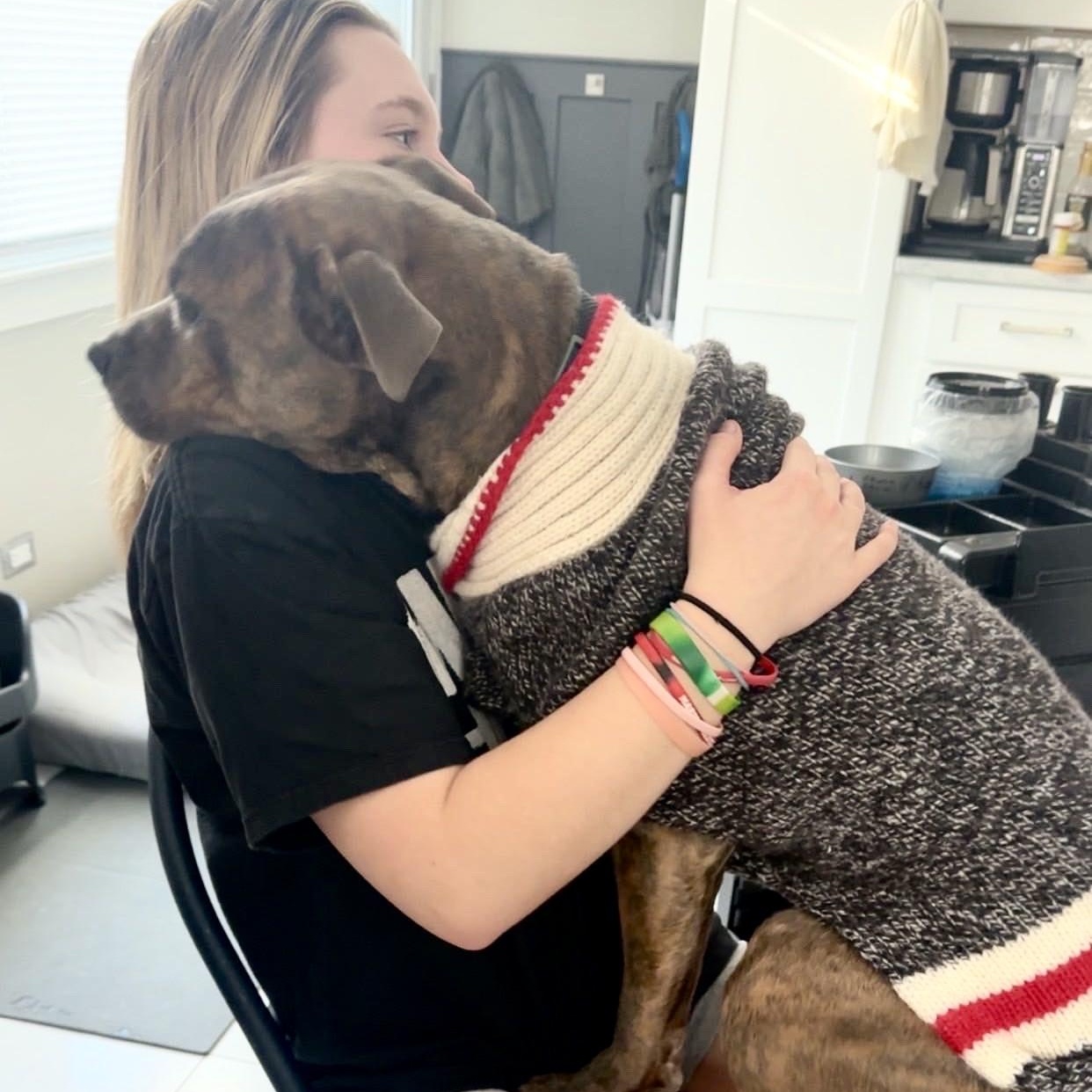 Frank, a Adoptable Pit Bull Terrier in Chicago, IL image 3/6