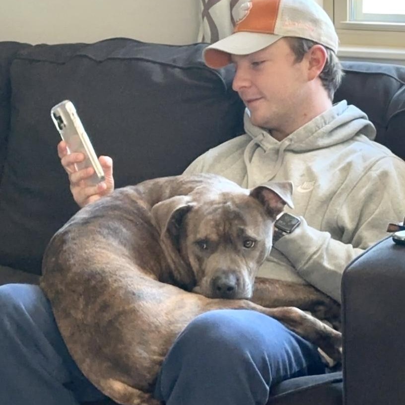 Frank, Adoptable, Adult Male Pit Bull Terrier.