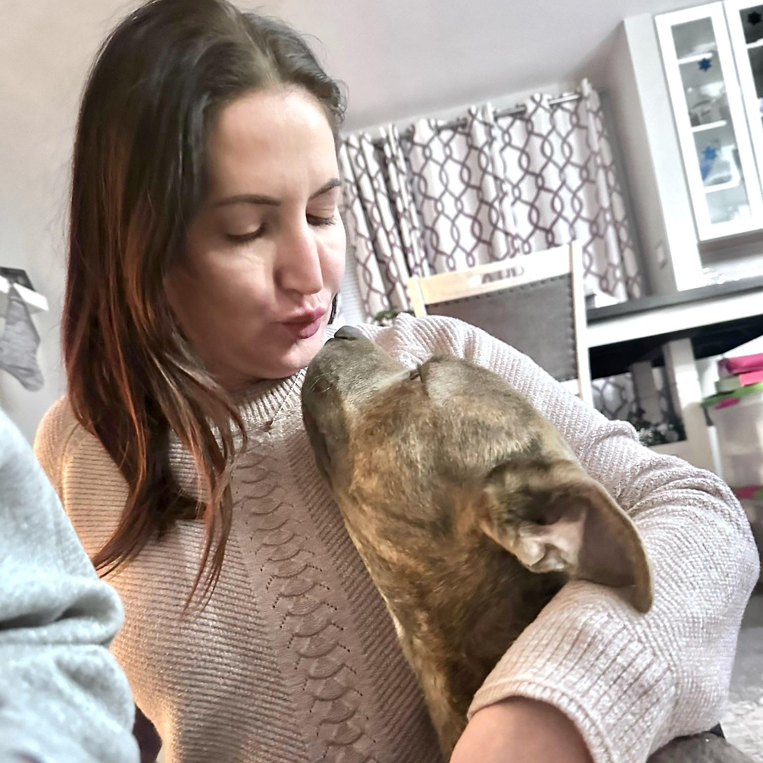 Frank, a Adoptable Pit Bull Terrier in Chicago, IL image 6/6