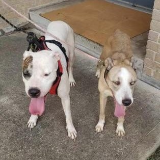 Audio — thumbnail 6