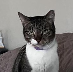 Susie — thumbnail 4