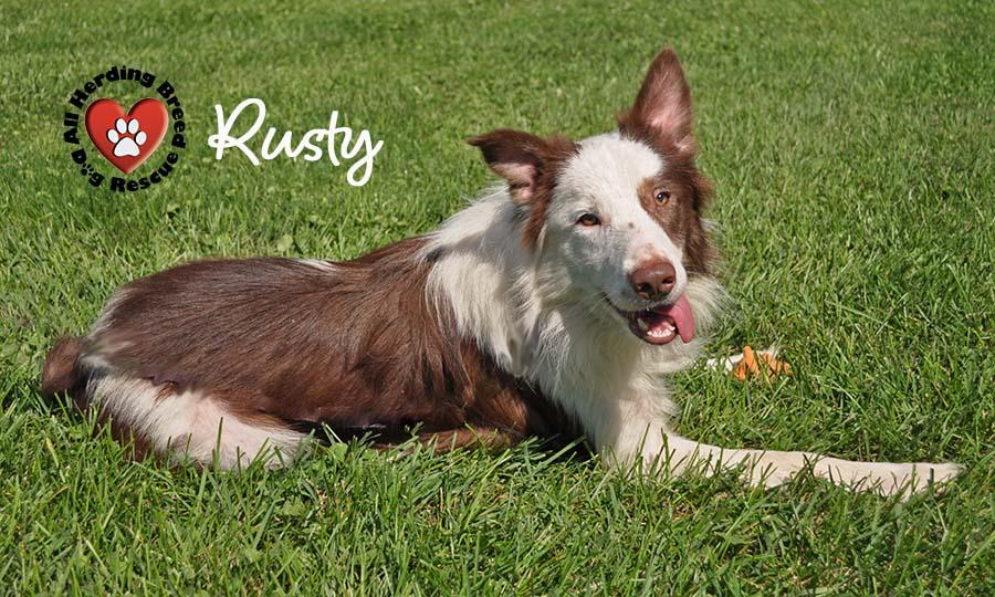 Rusty