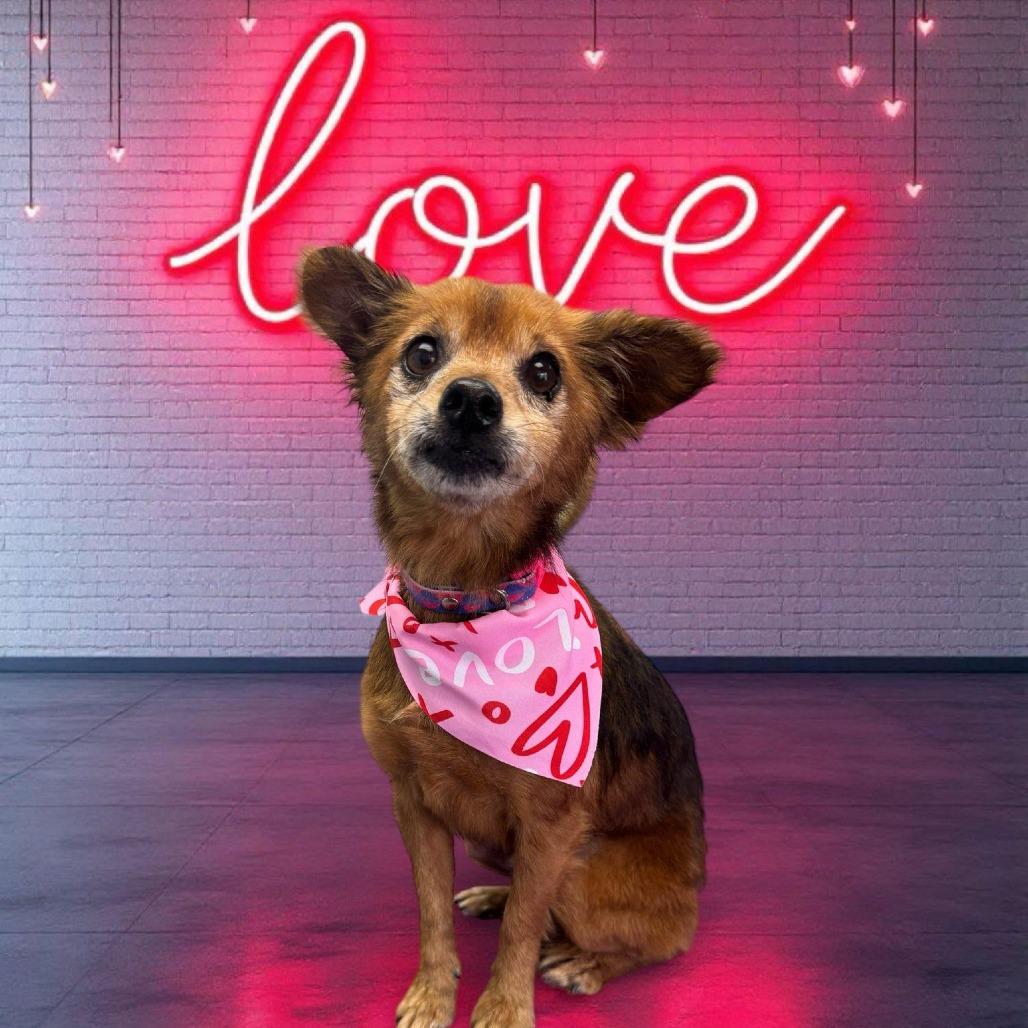 Corbin — thumbnail 4