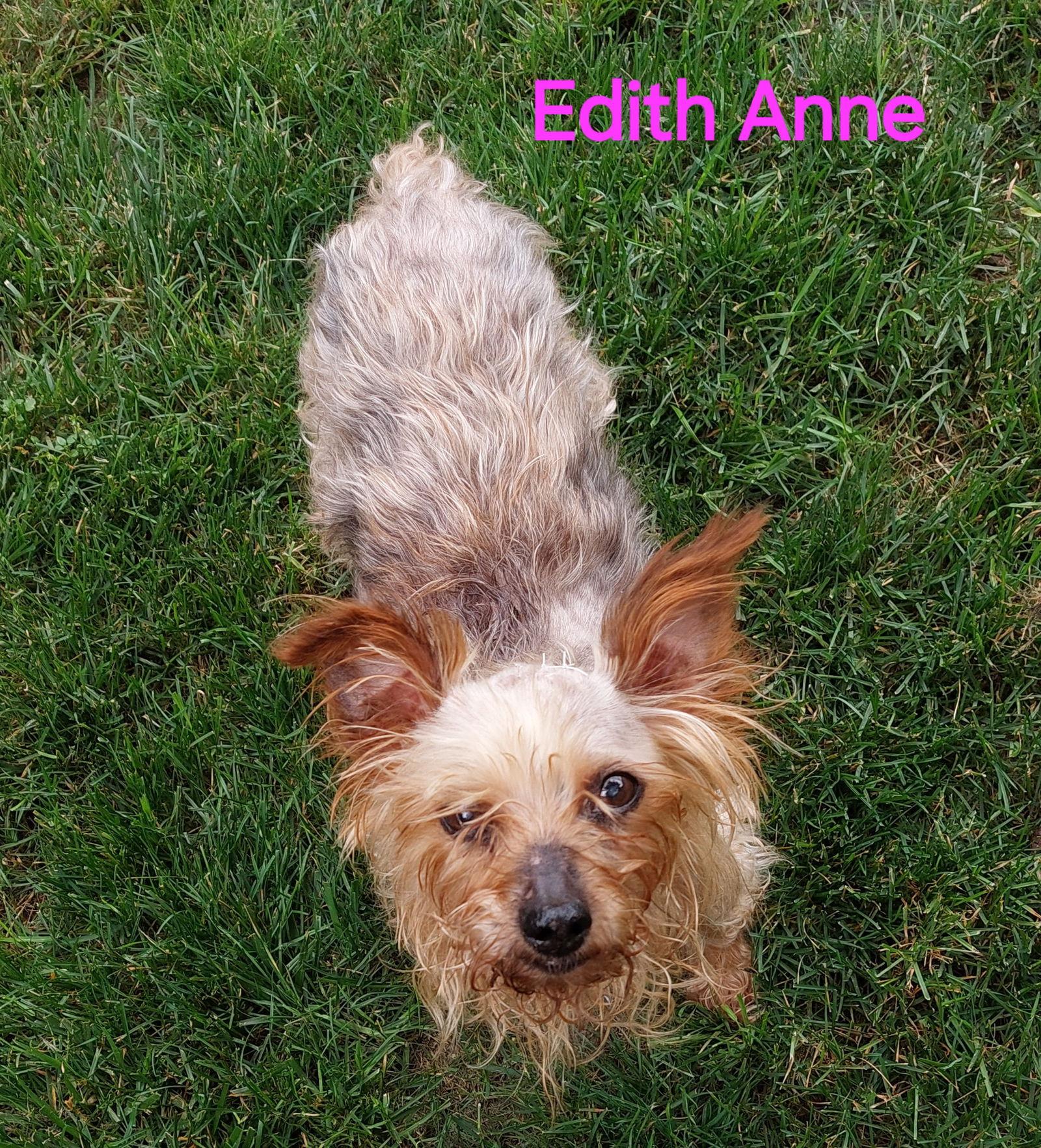 Edith Ann  Fairfield thumbnail 3
