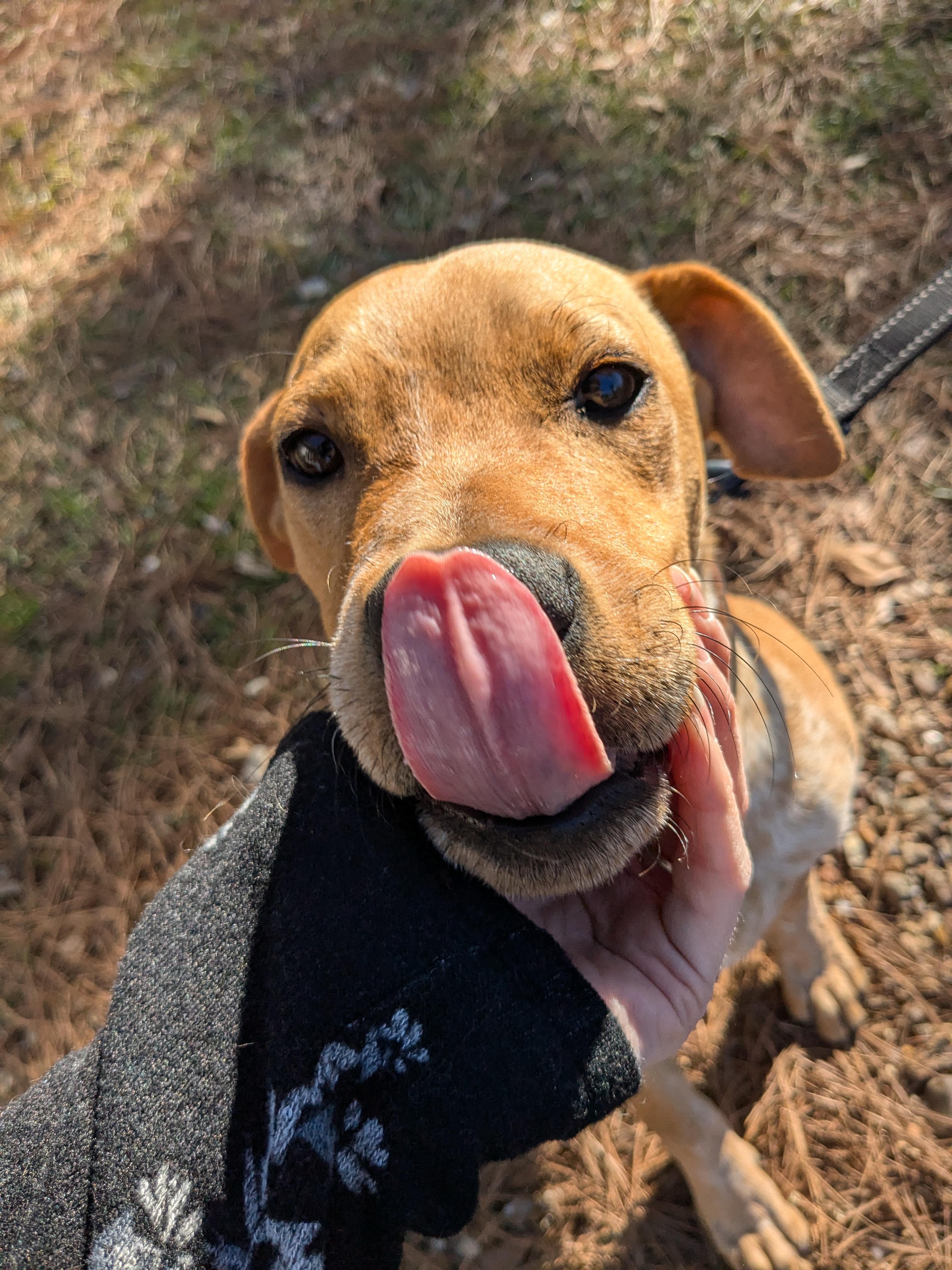Missy Photo