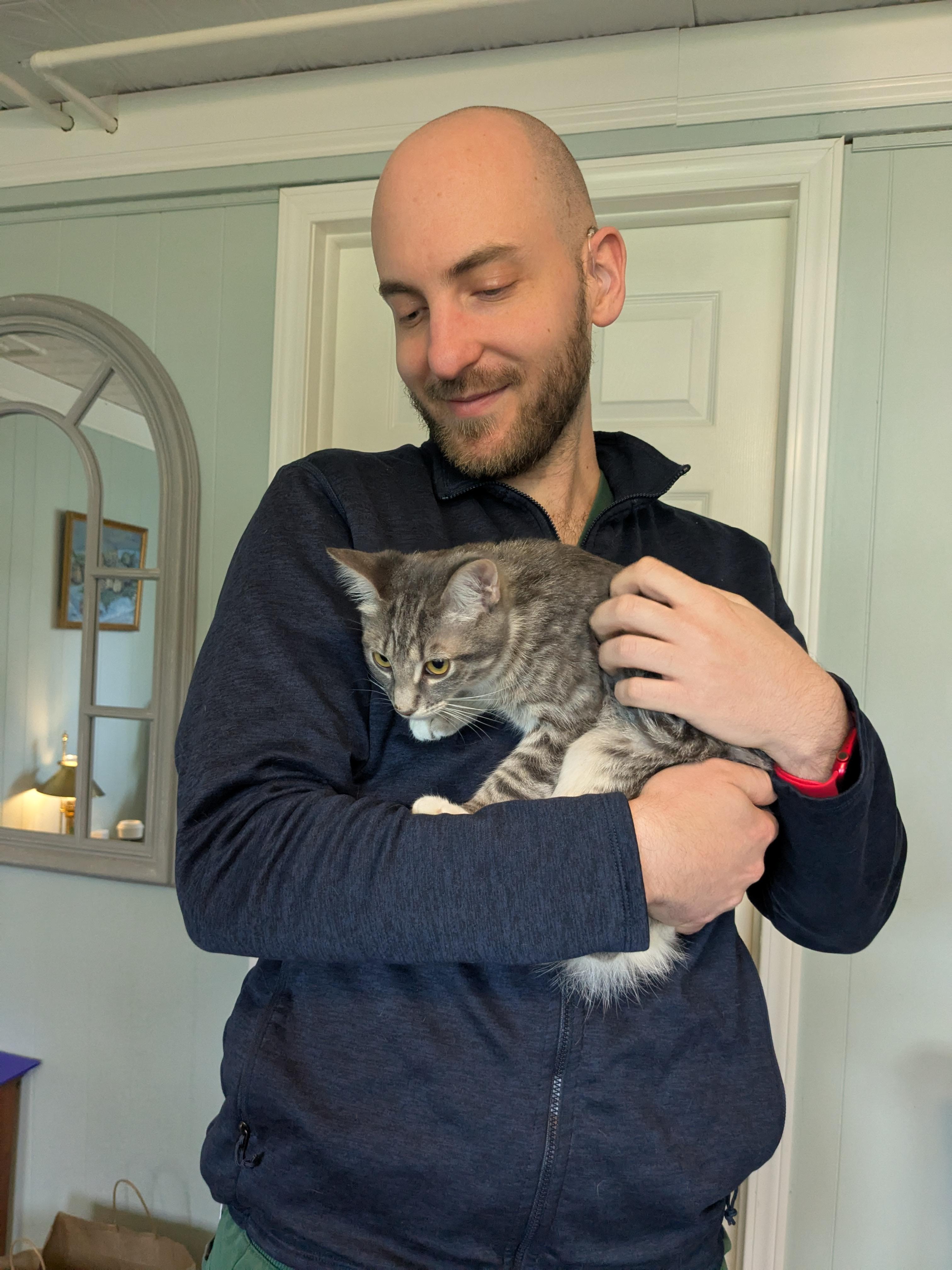 Enlarge Susie, a Adopted Domestic Short Hair in Burlington, VT image 4/6