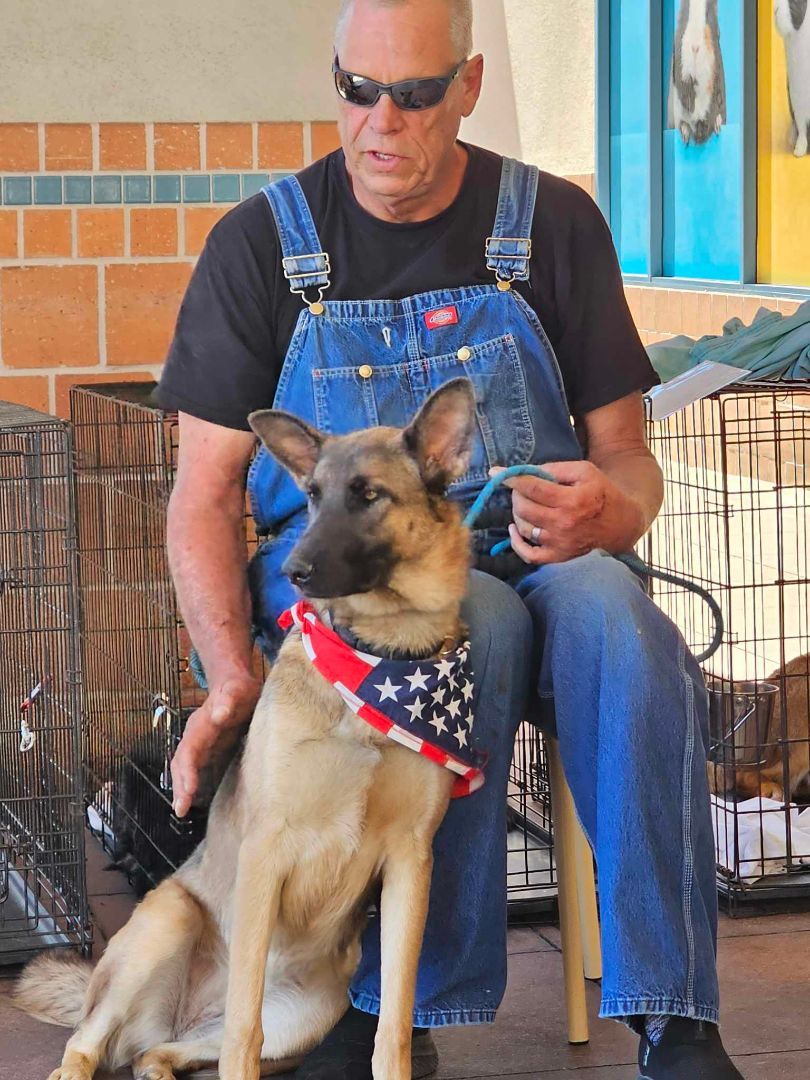 Jade, a Adoptable mixed breed in Wrightwood, CA image 4/5