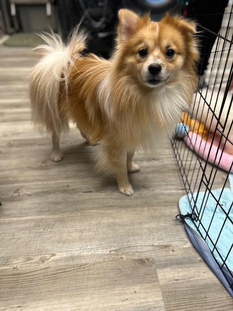 Milo