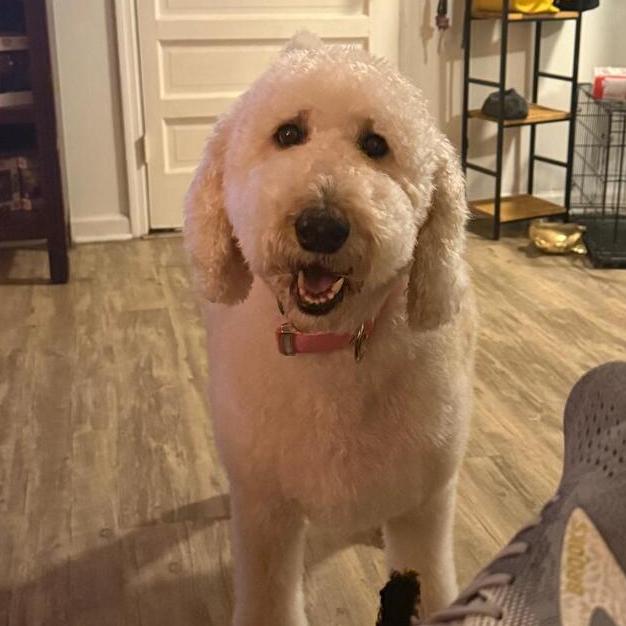 Charlie Richmond thumbnail 2