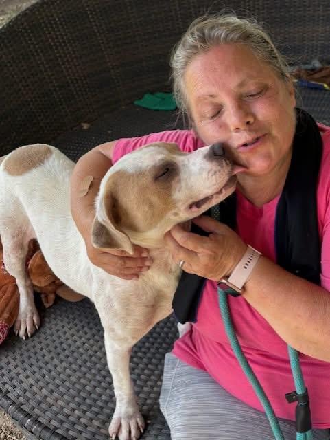 Enlarge Sweet Pea, a Adopted Mixed Breed in Southaven , MS image 5/6