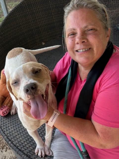 Enlarge Sweet Pea, a Adopted Mixed Breed in Southaven , MS image 6/6