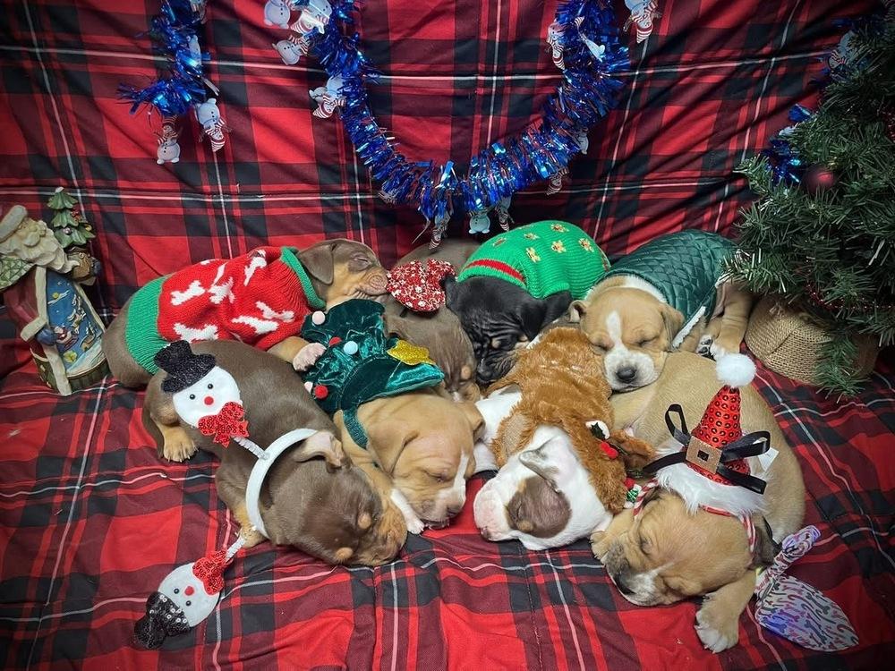 Doc Holiday thumbnail 3